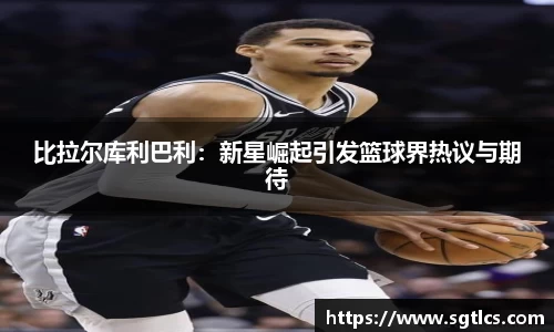 智博19