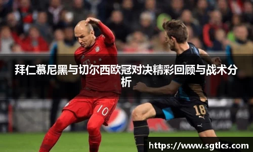 智博