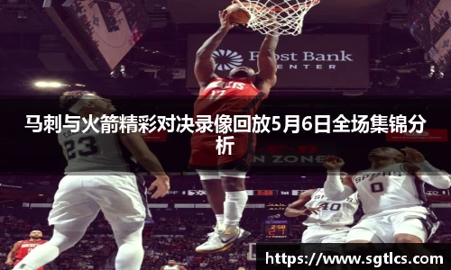 智博19