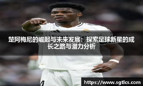 智博19有限公司