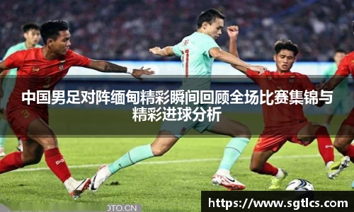智博19有限公司